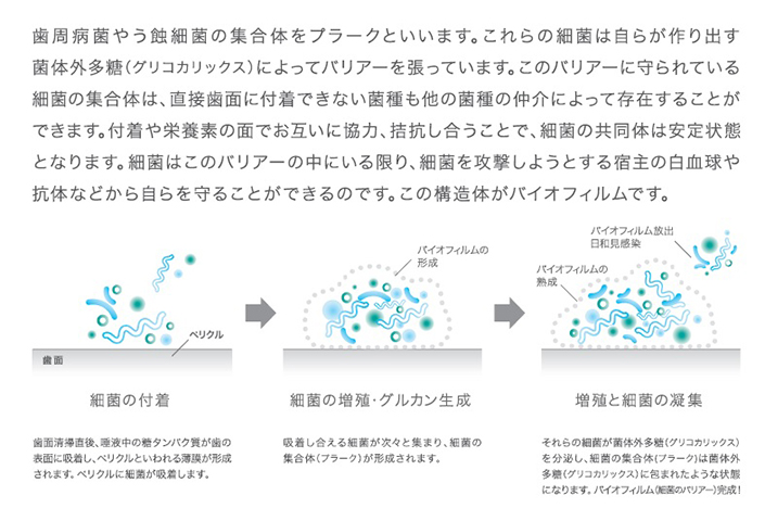 パウダーメンテナンス